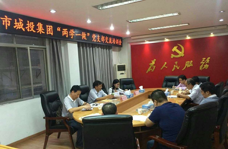 市城投集团公司“两学一做”学习教育获市委督导组点赞