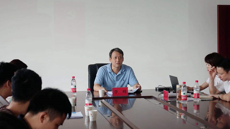 李峰到城投远盛上党课领学党章
